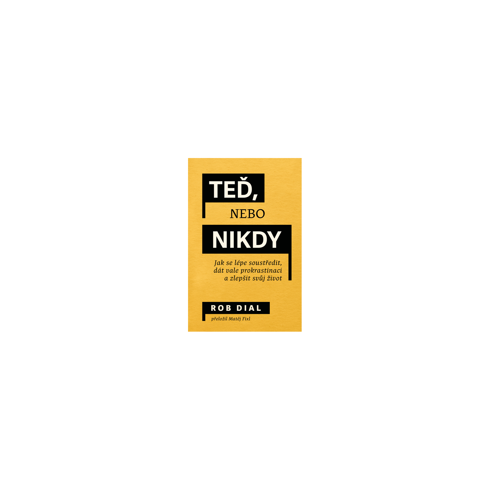 Teď, nebo nikdy: jak se lépe soustředit, dát vale prokrastinaci a zlepšit svůj život