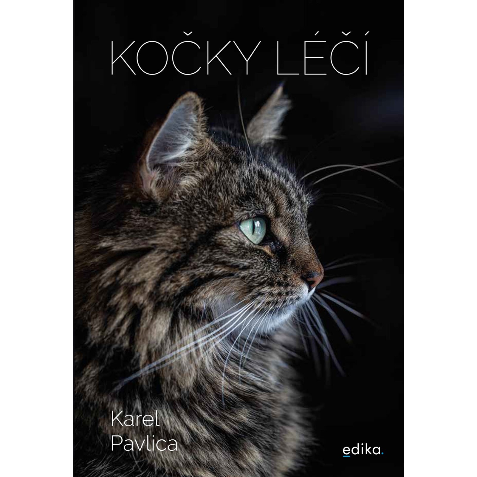 Kočky léčí