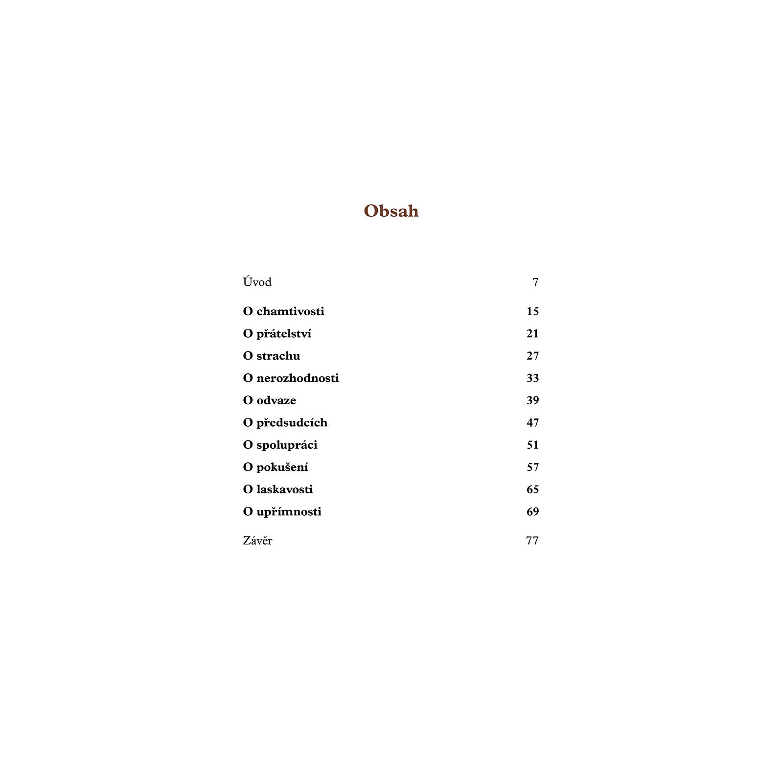 Nahled 4
