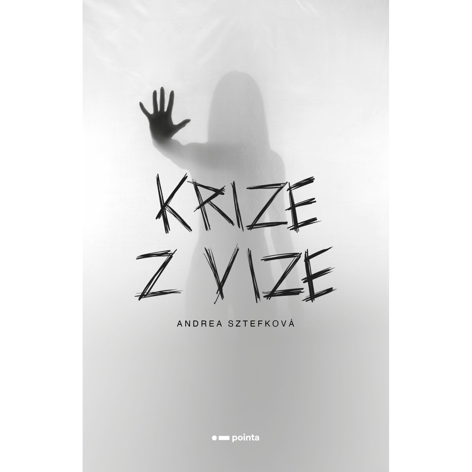 Krize z vize