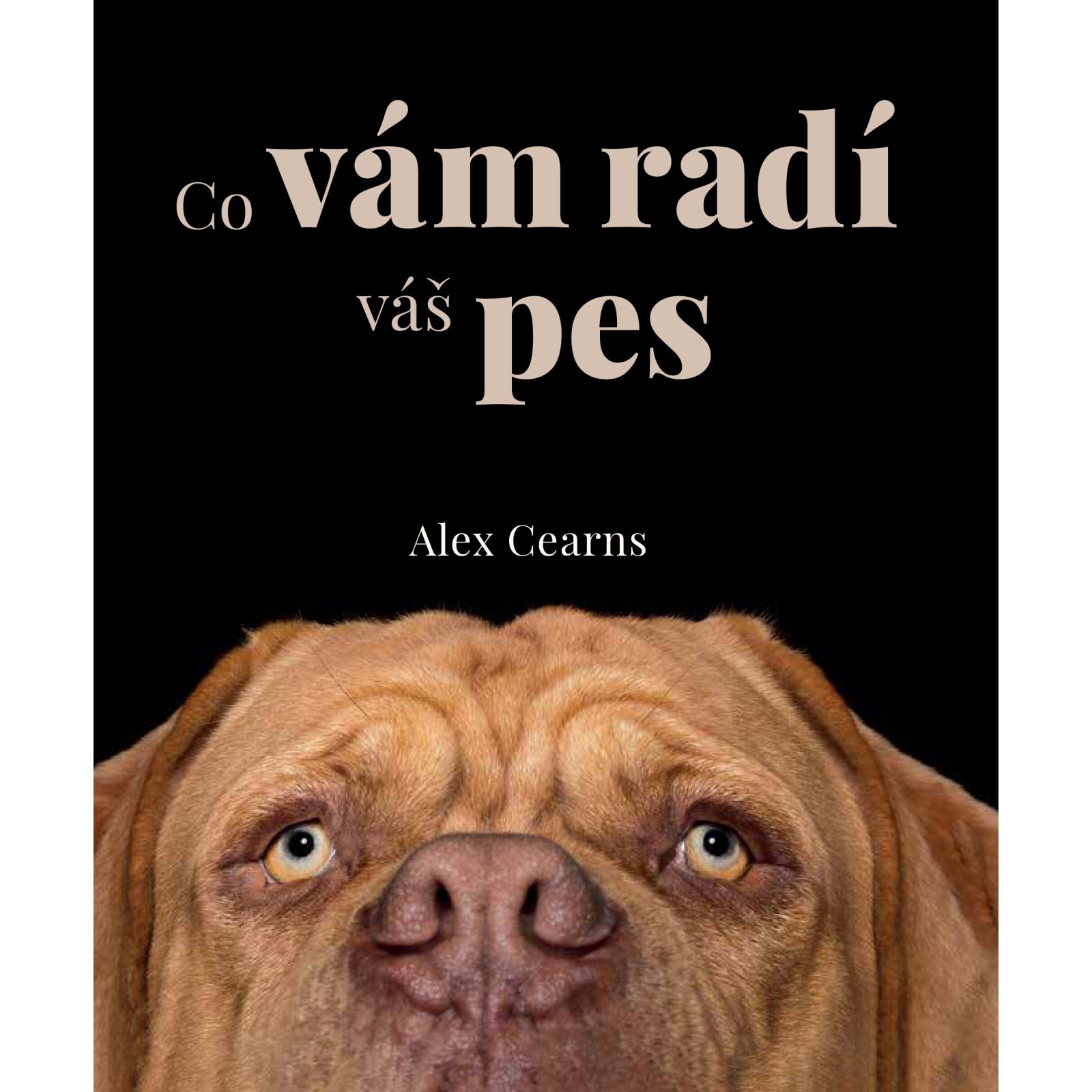Co vám radí váš pes