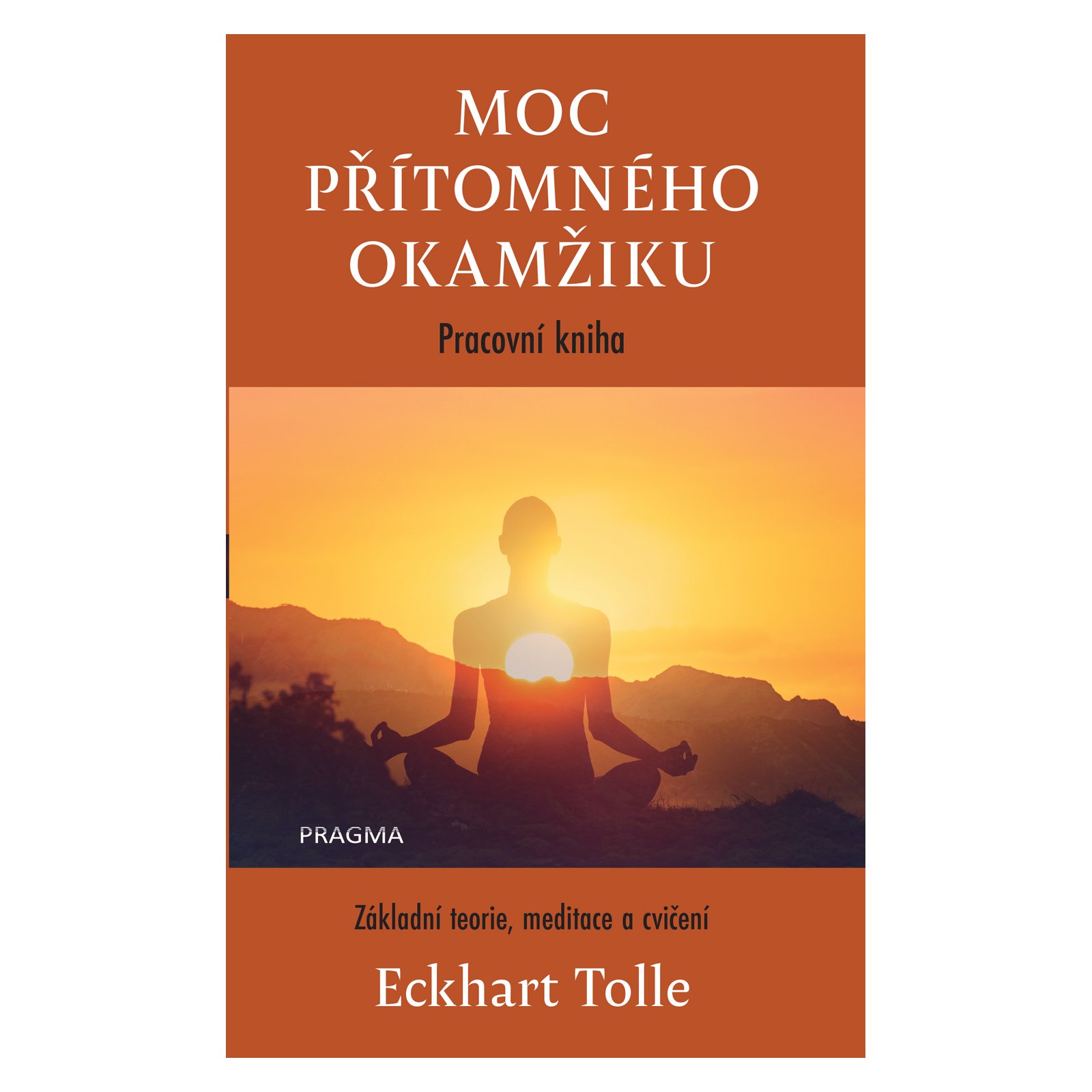 Moc přítomného okamžiku – pracovní kniha
