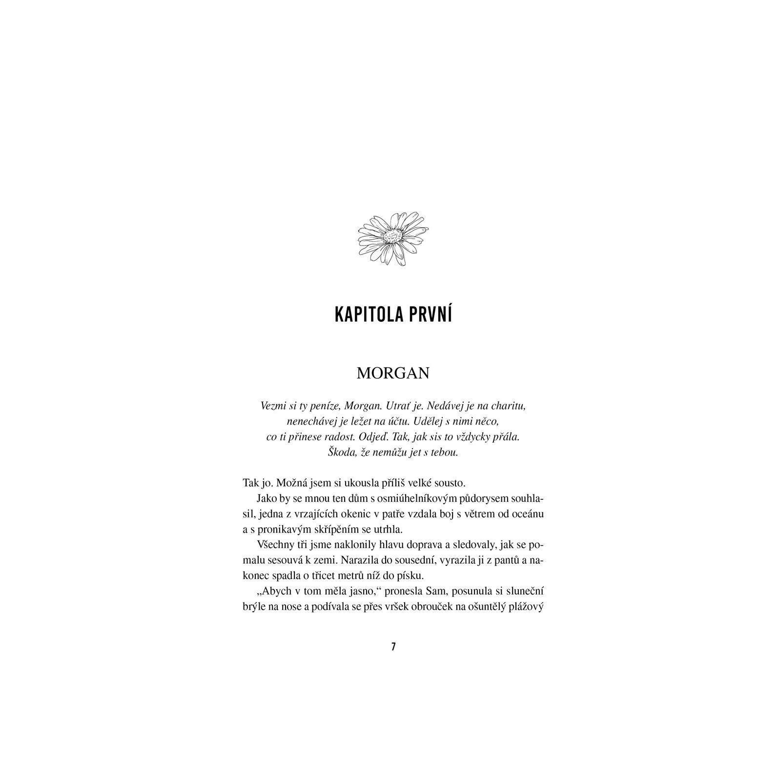 Nahled 3