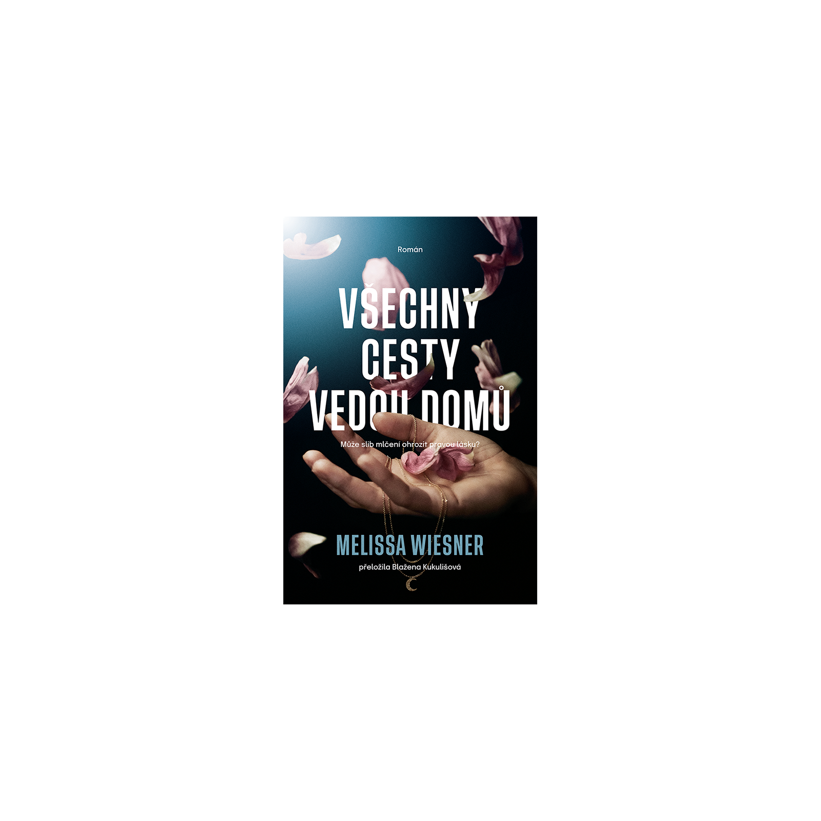 Všechny cesty vedou domů