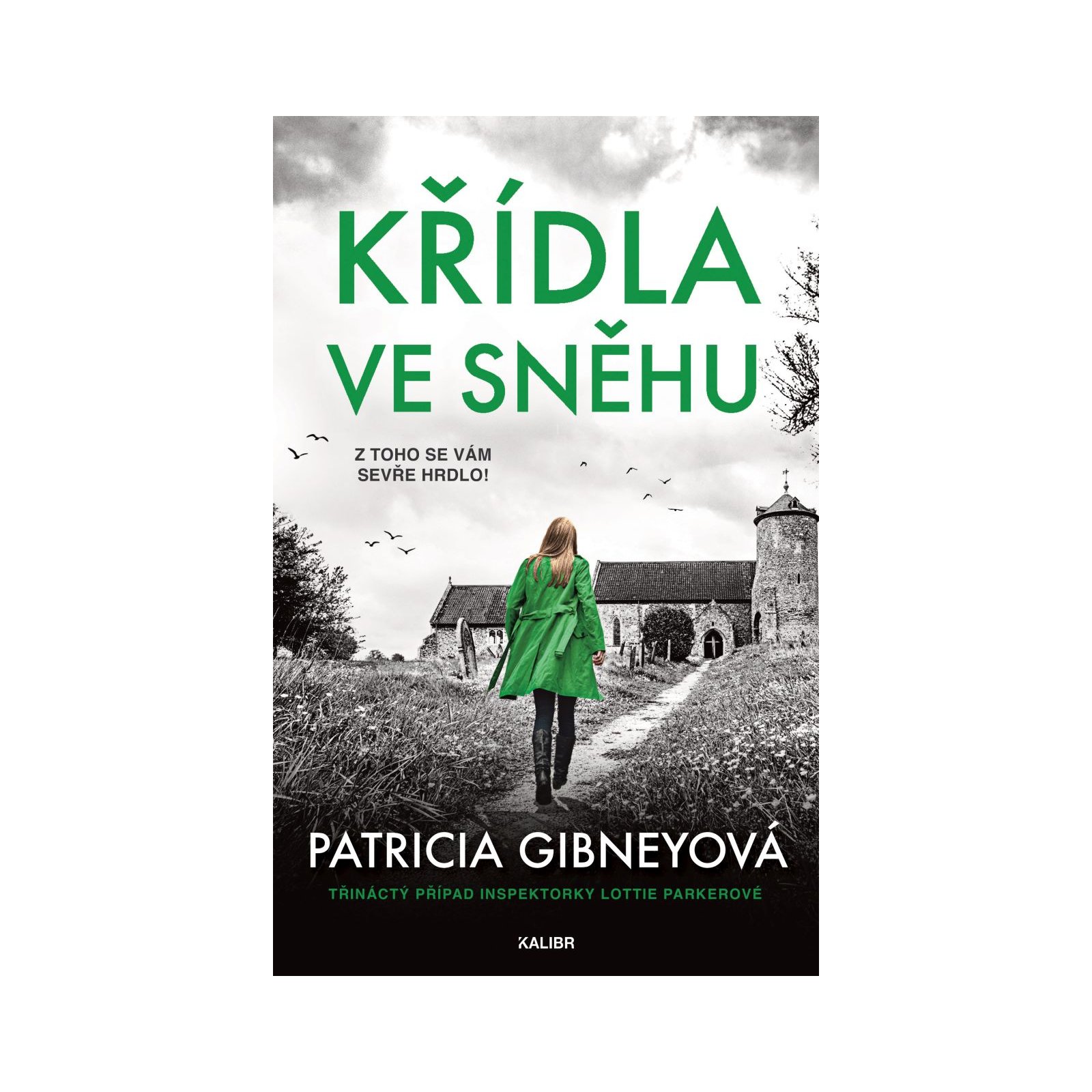 Křídla ve sněhu