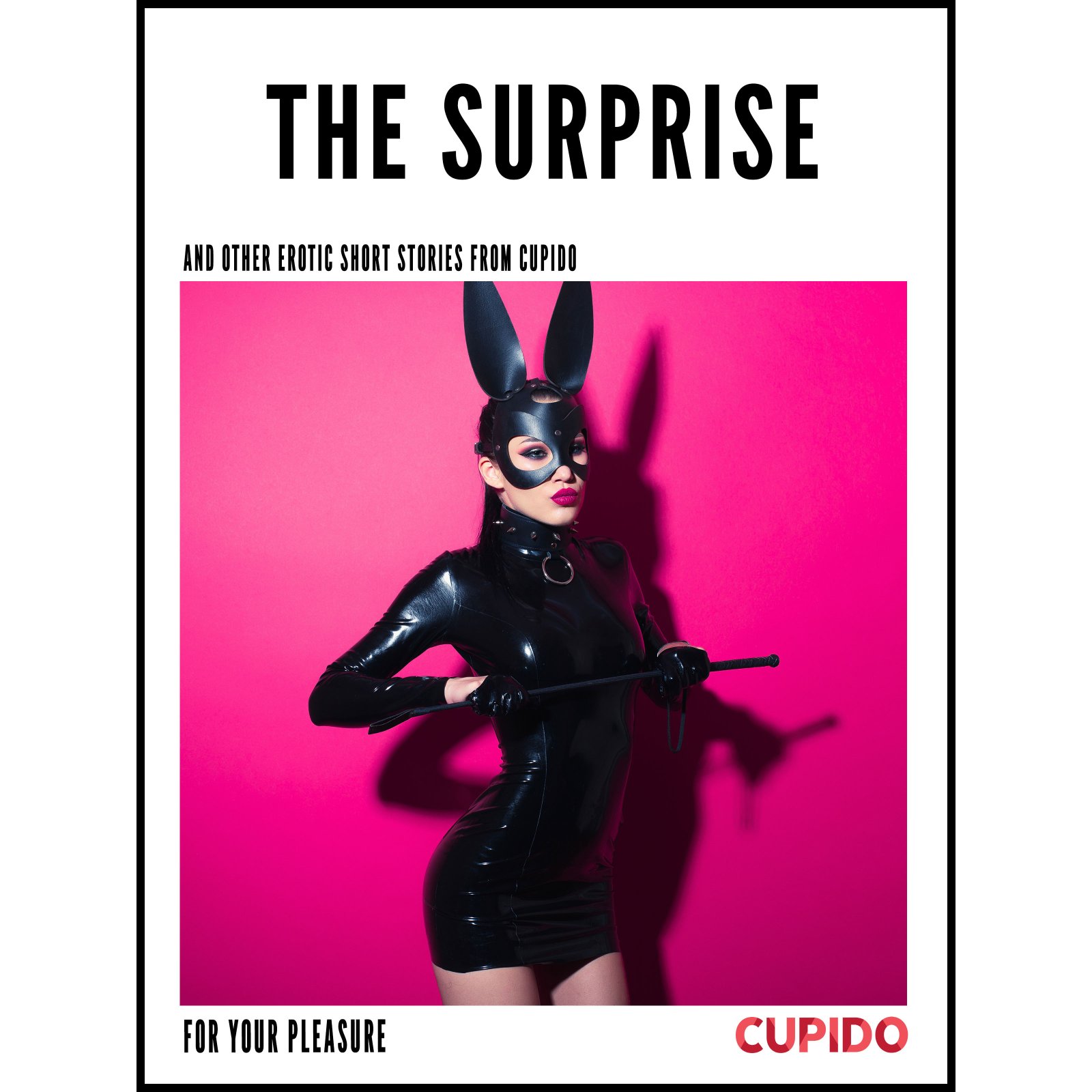 The Surprise - and other erotic short stories