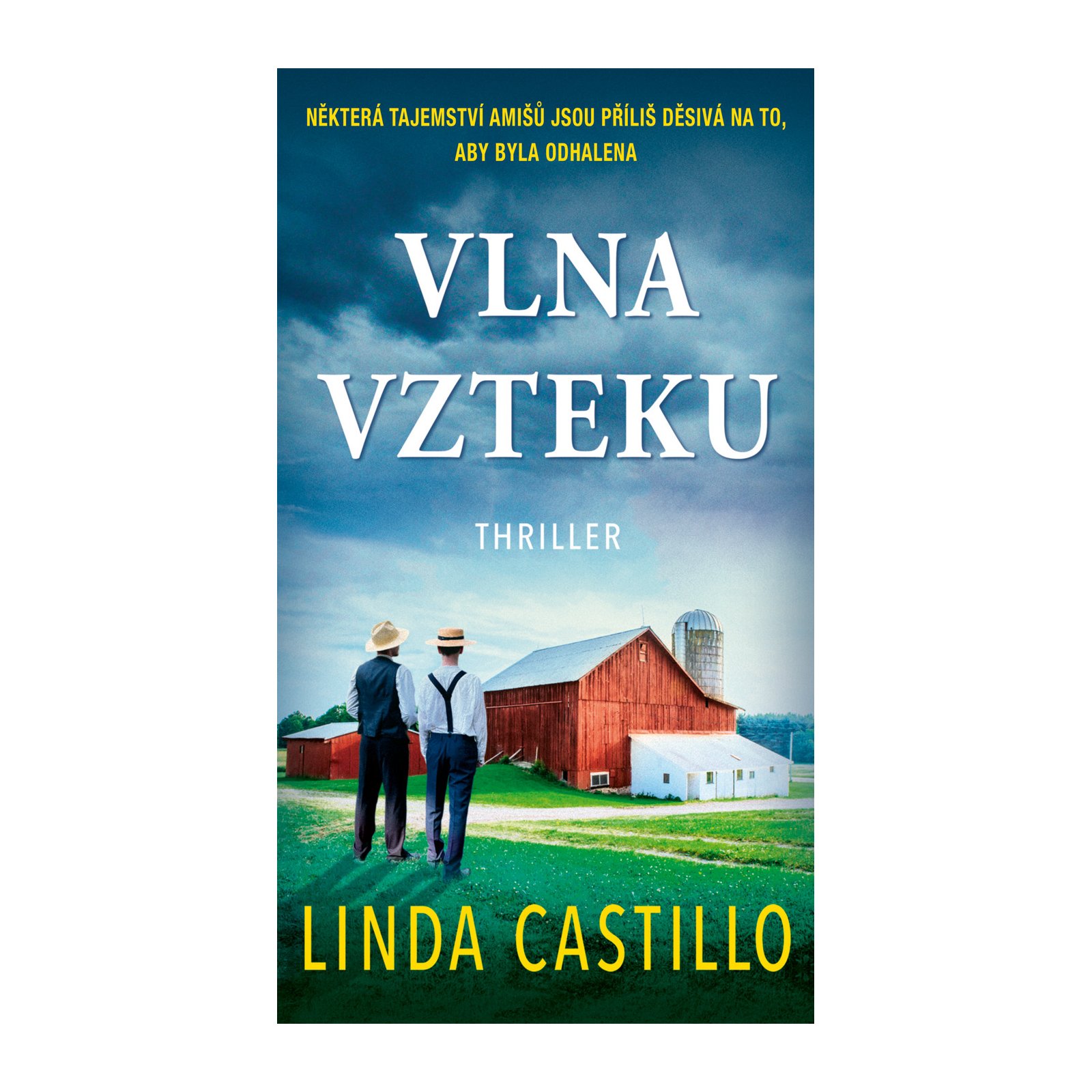 Vlna vzteku