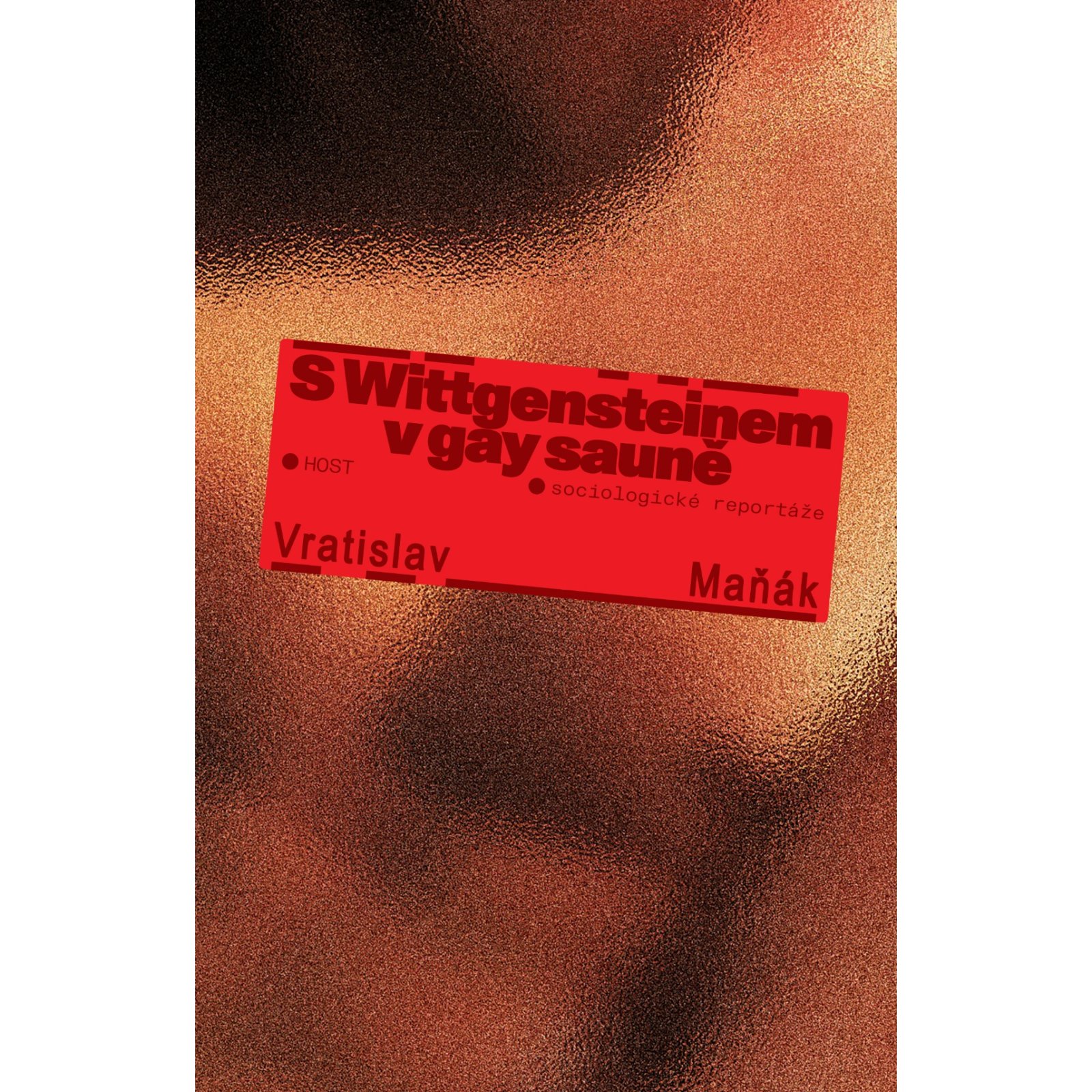 S Wittgensteinem v gay sauně