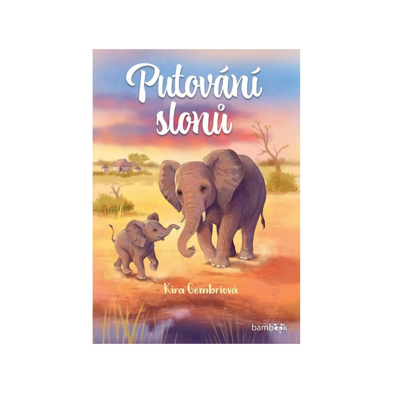 Putování slonů