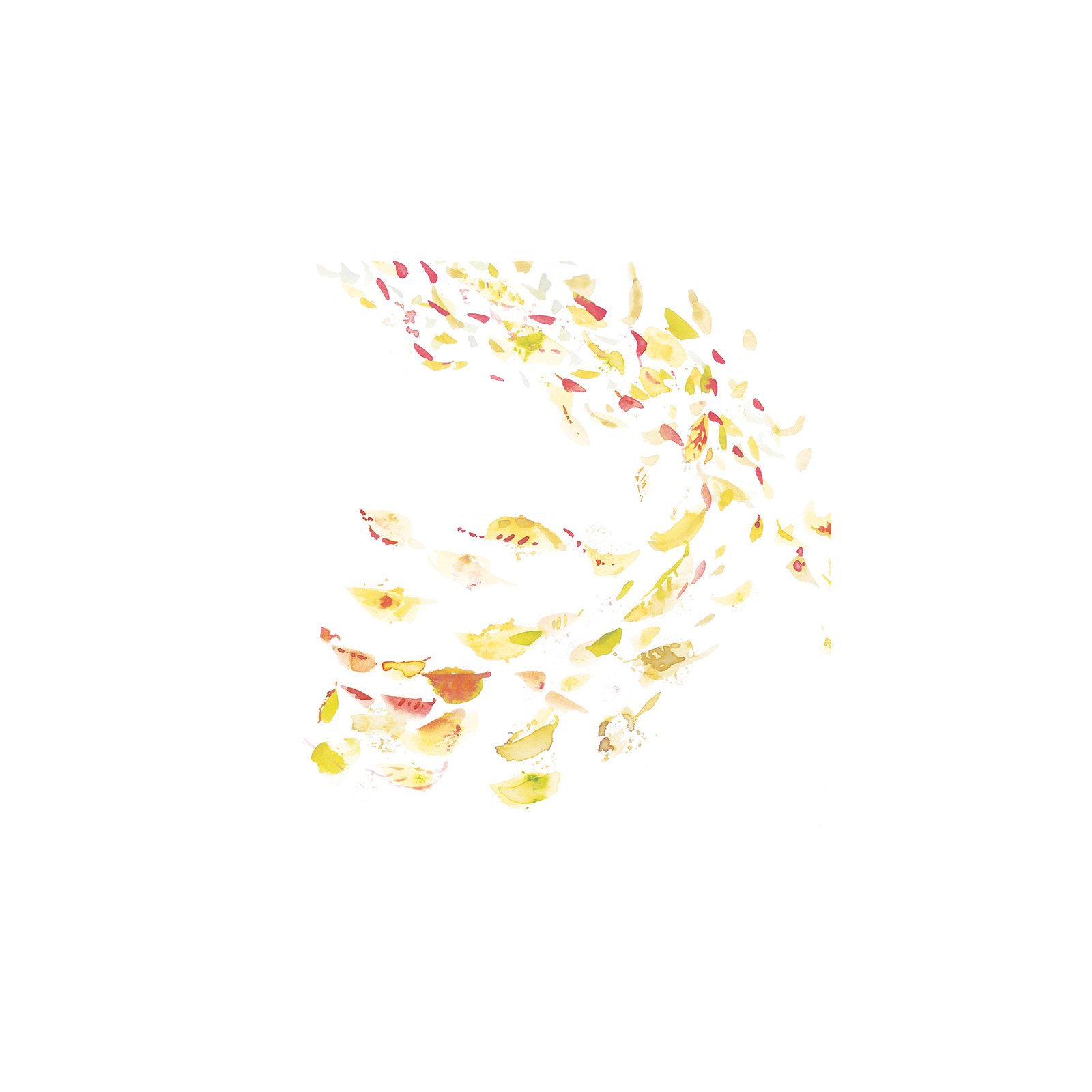 Nahled 2