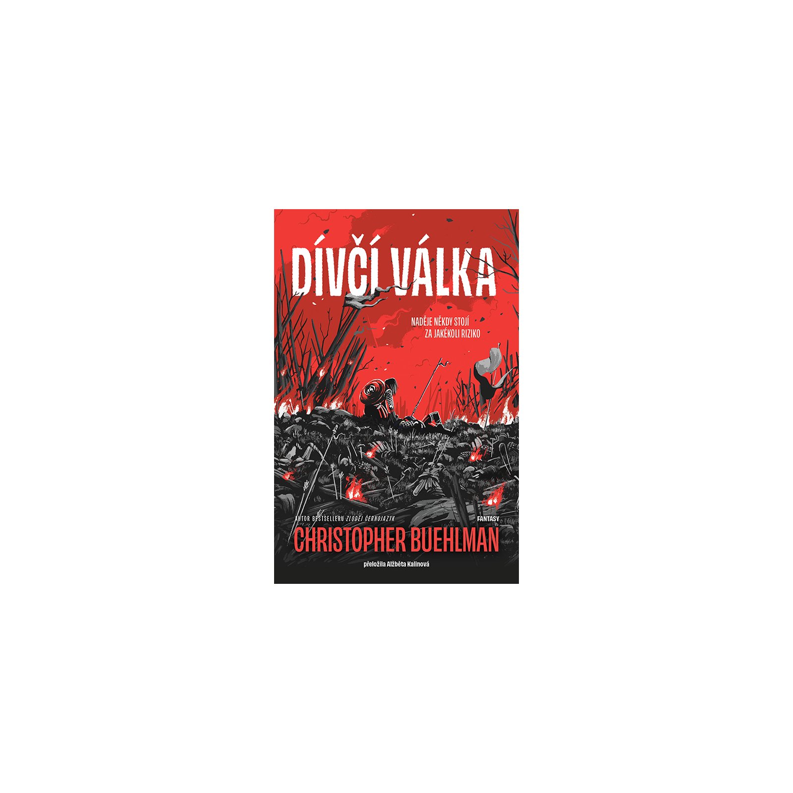 Dívčí válka