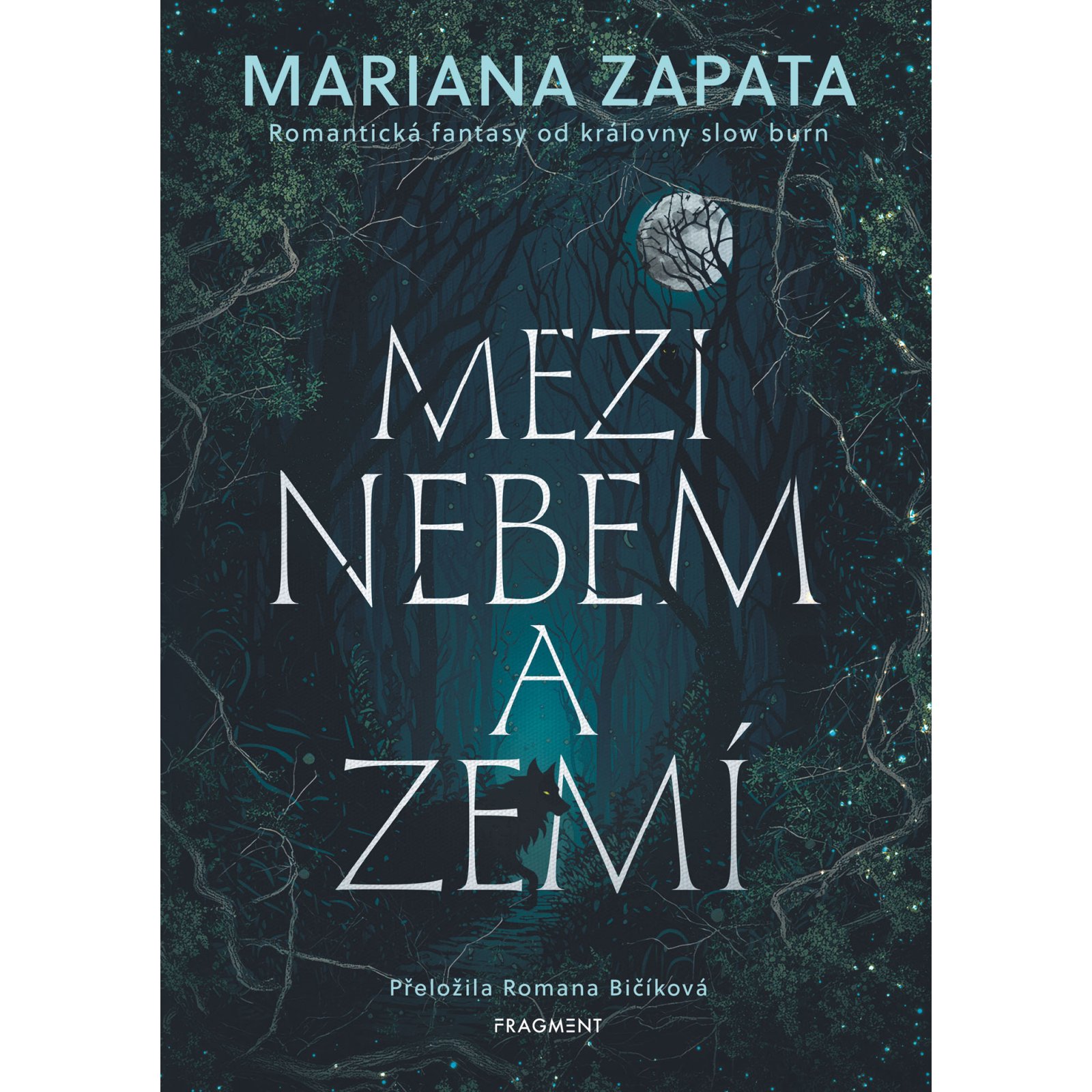 Mezi nebem a zemí