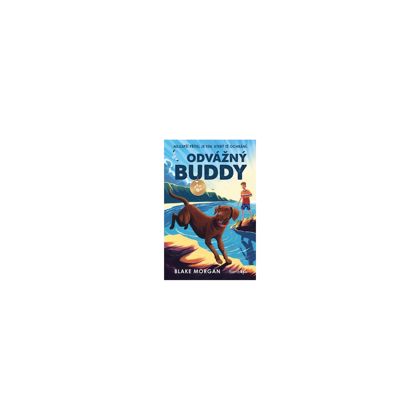 Odvážný Buddy