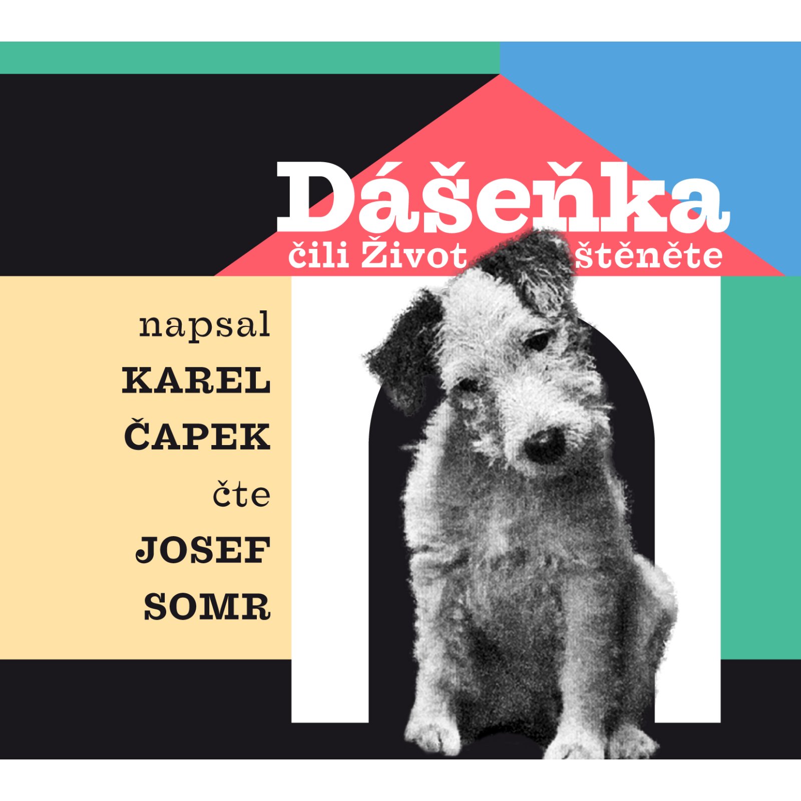 Dášeňka