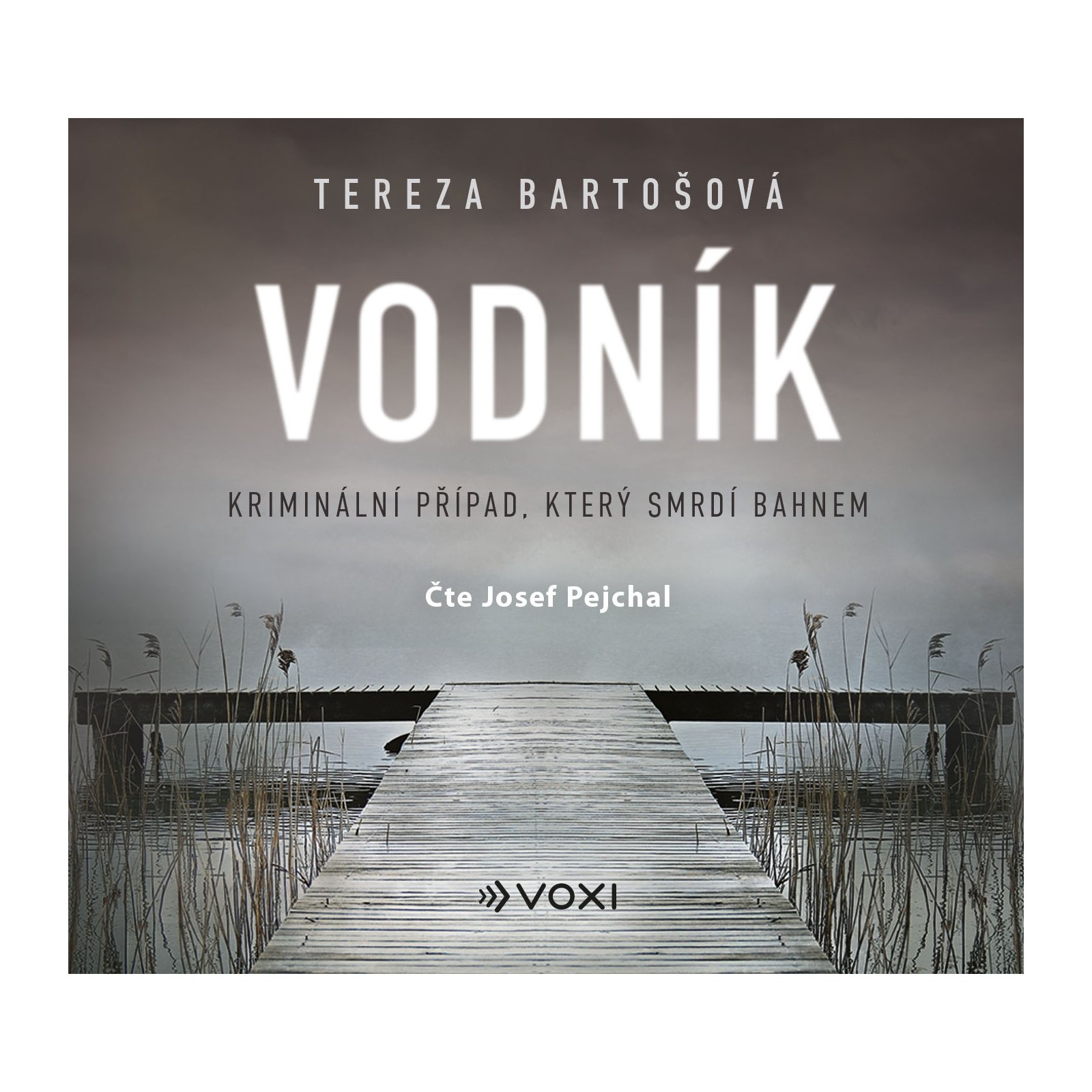 Vodník