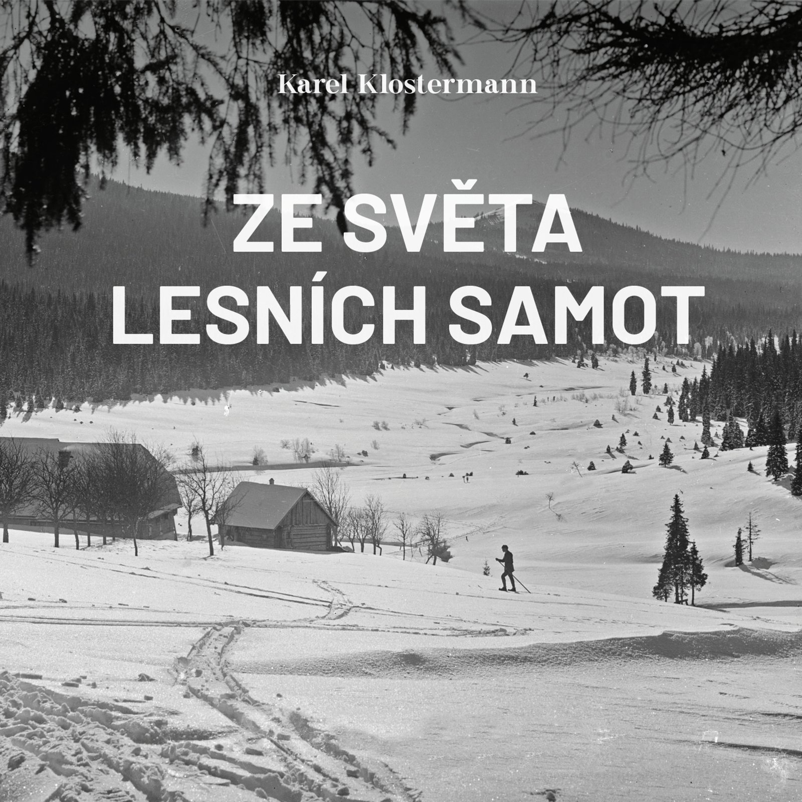 Ze světa lesních samot