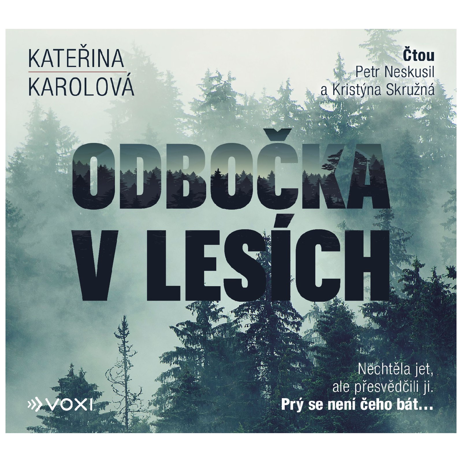 Odbočka v lesích