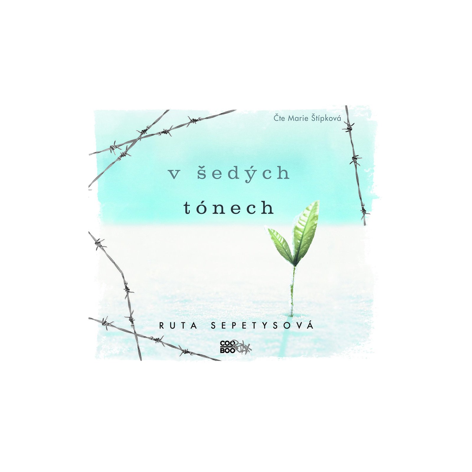 V šedých tónech