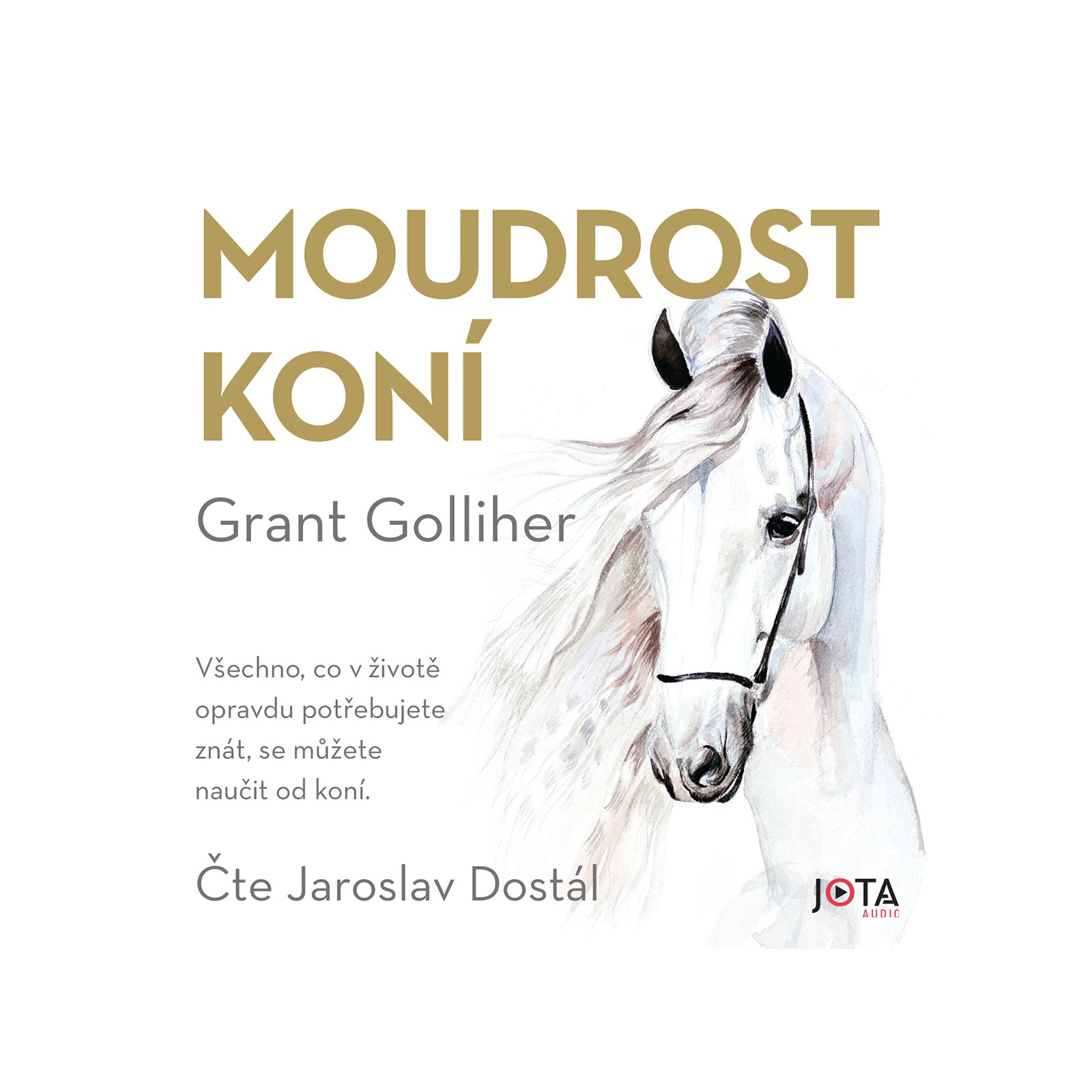 Moudrost koní