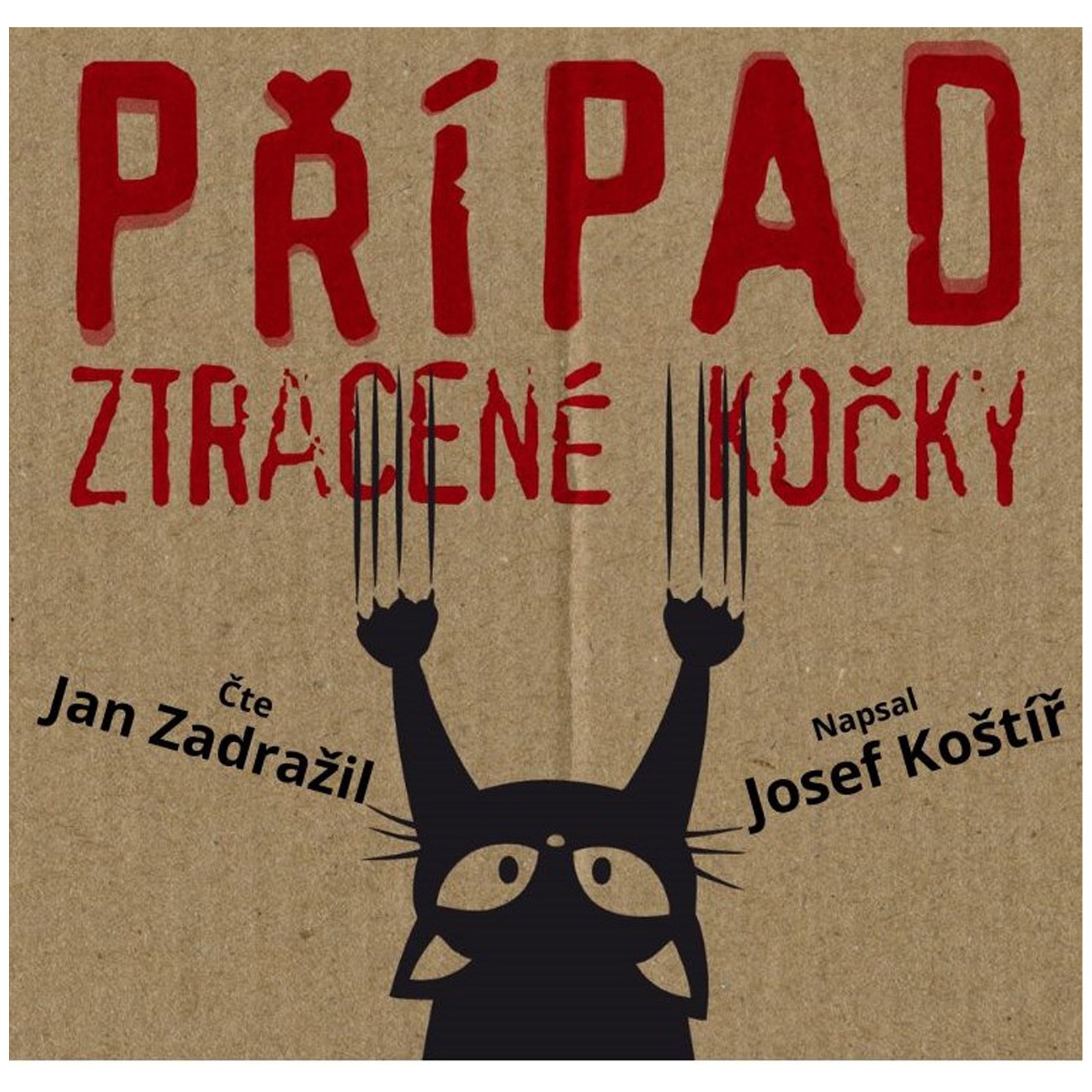 Případ ztracené kočky