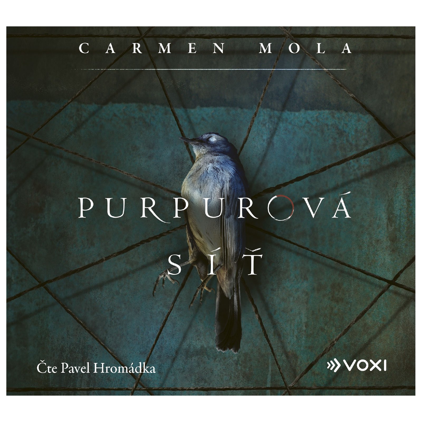 Purpurová síť
