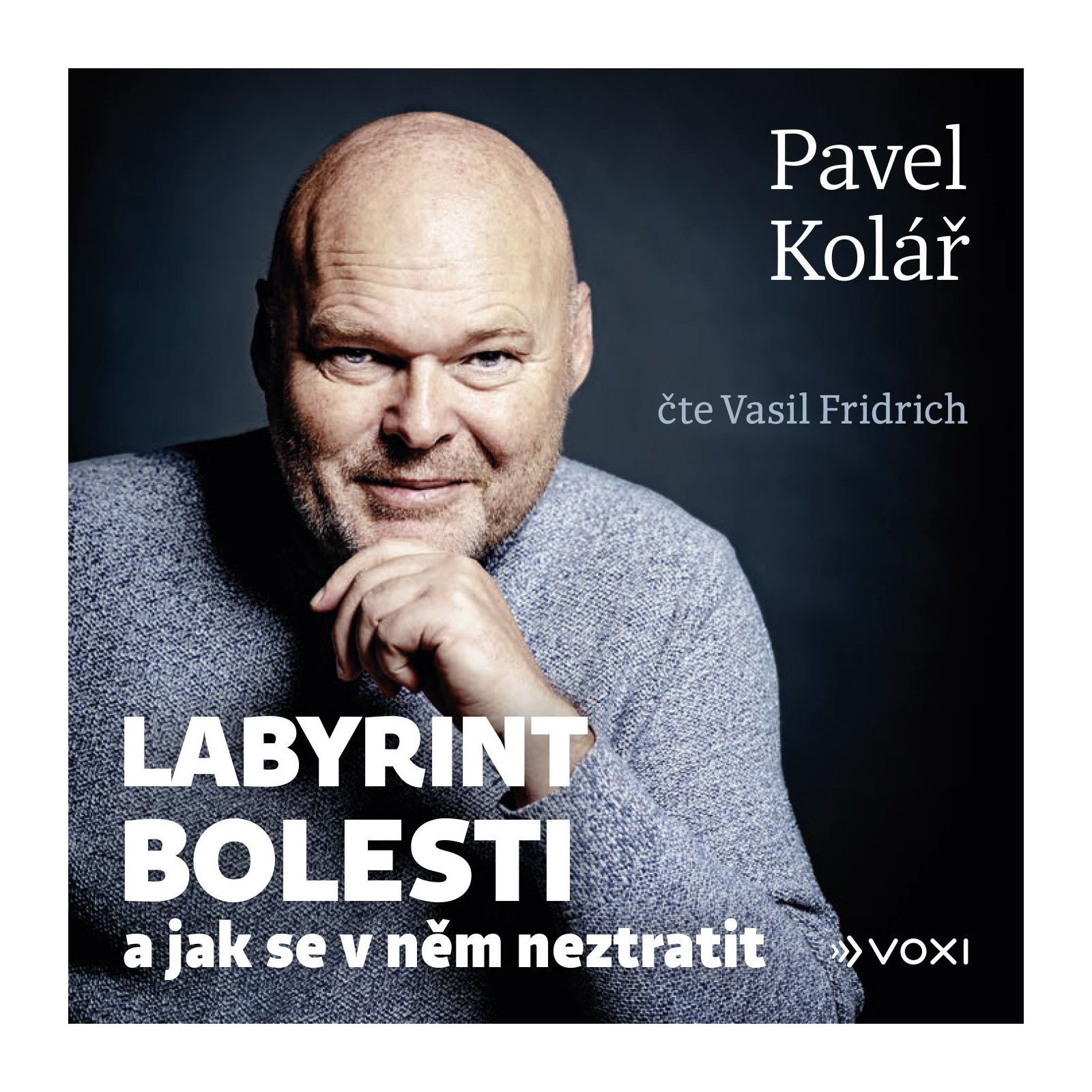 Labyrint bolesti