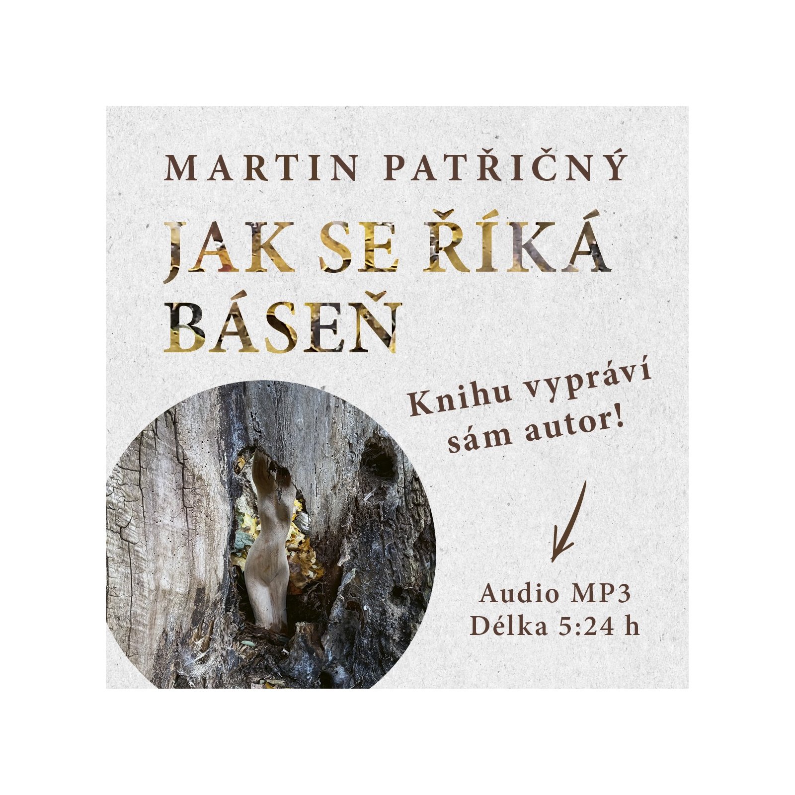 Jak se říká báseň